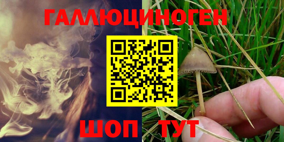 Приморско-Ахтарск  Галлюциногенные грибы Magic Shrooms  Вход с VPN 
