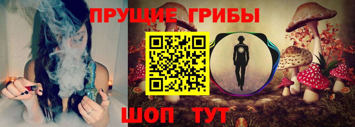 Псилоцибиновые грибы ЛСД Приморско-Ахтарск